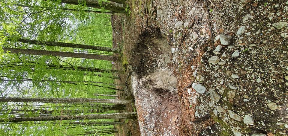 A narrow infrastructure trench running through wooded terrain beside a hospitality building.